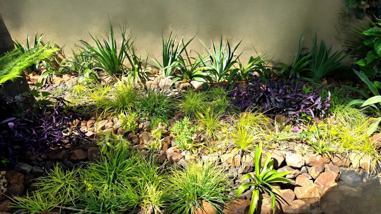 Photo of Outdoor in Pretoria