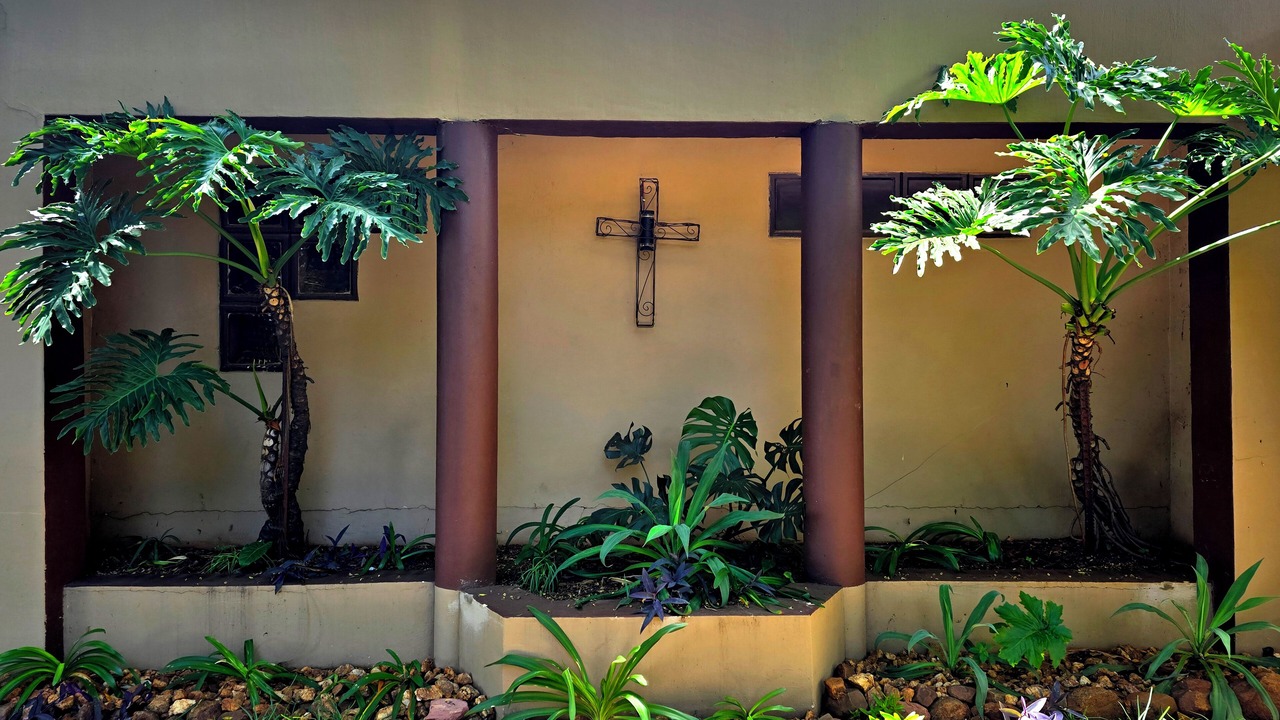 Photo of Outdoor in Pretoria