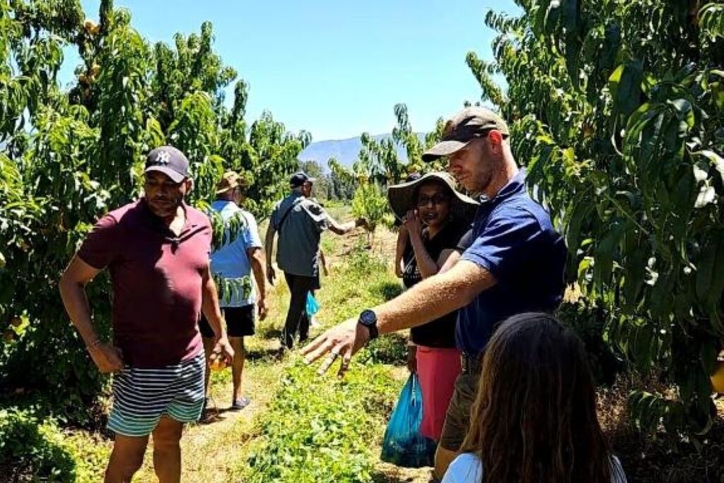 Photo of Others in Swellendam