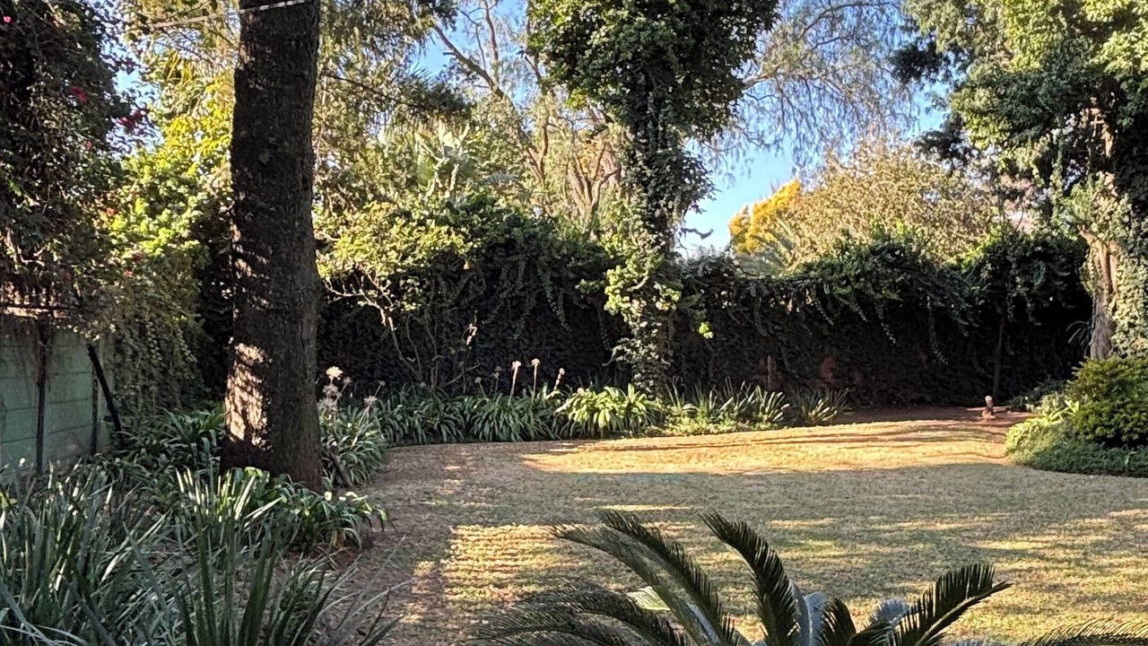 Photo of Outdoor in Kempton Park