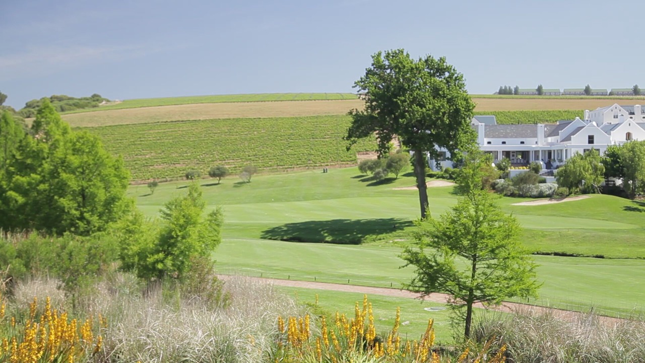 Photo of Others in Stellenbosch