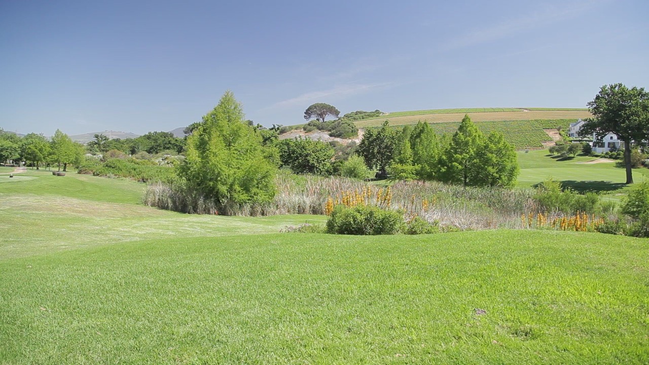 Photo of Others in Stellenbosch