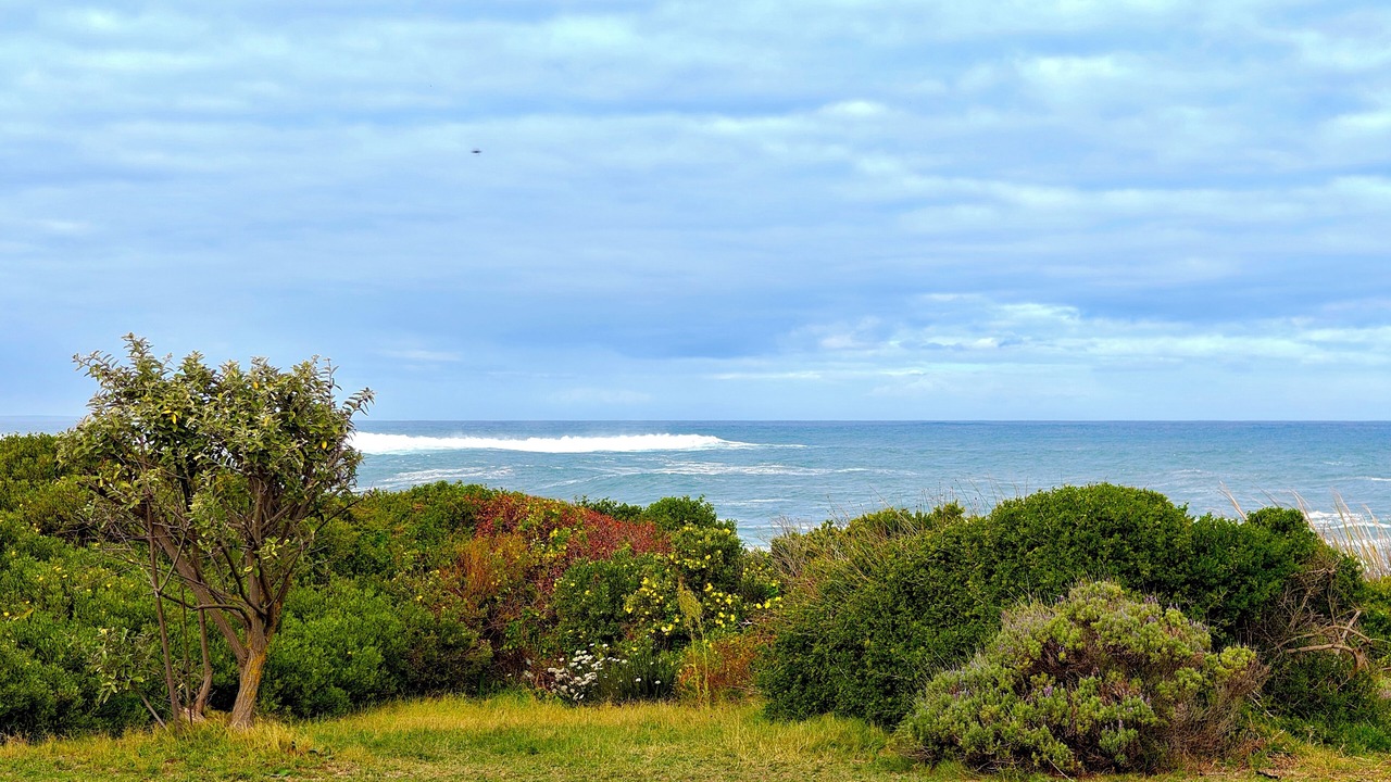 Photo of Others in Sandbaai