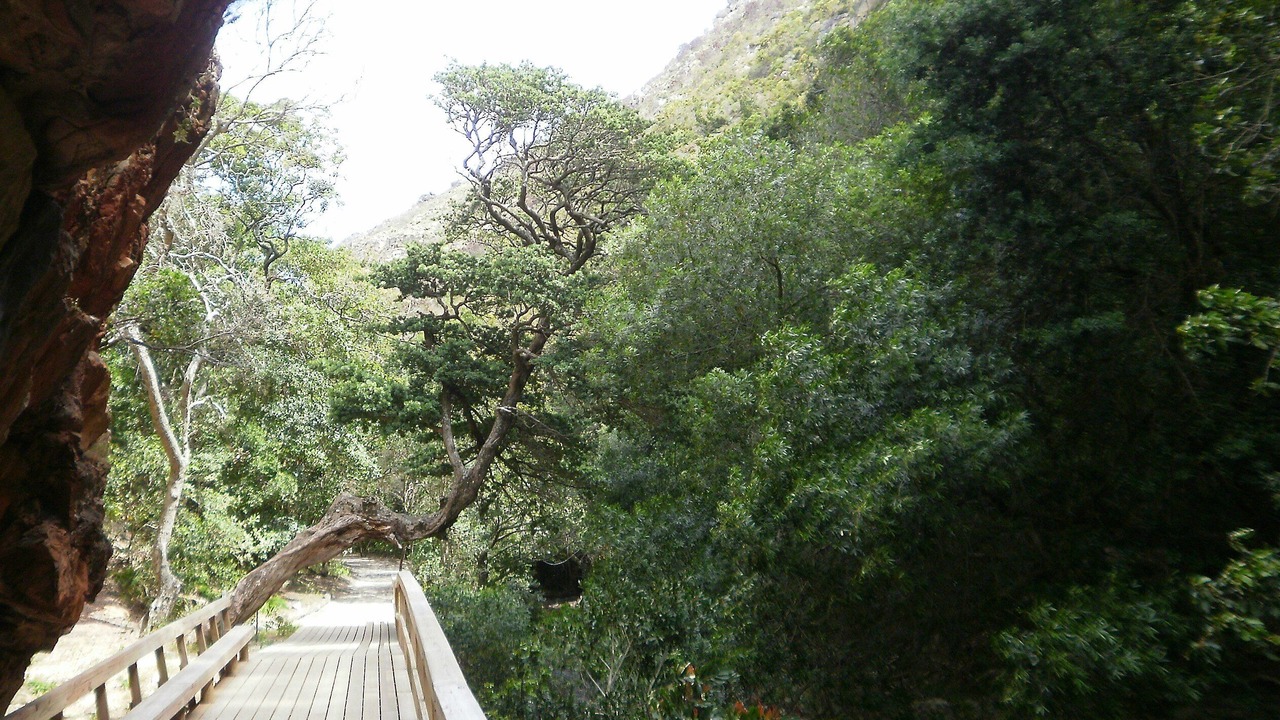 Photo of Others in Betty's Bay