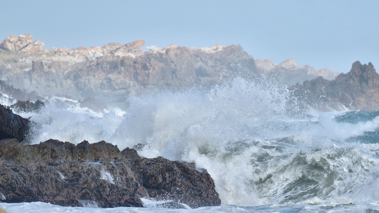 Photo of Others in Betty's Bay