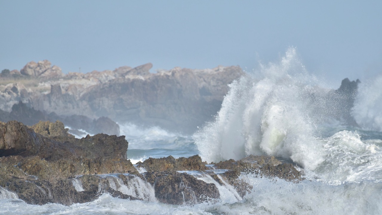 Photo of Others in Betty's Bay