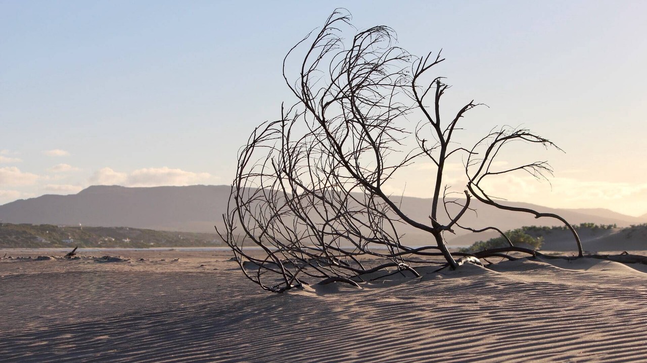 Photo of Others in Witsand