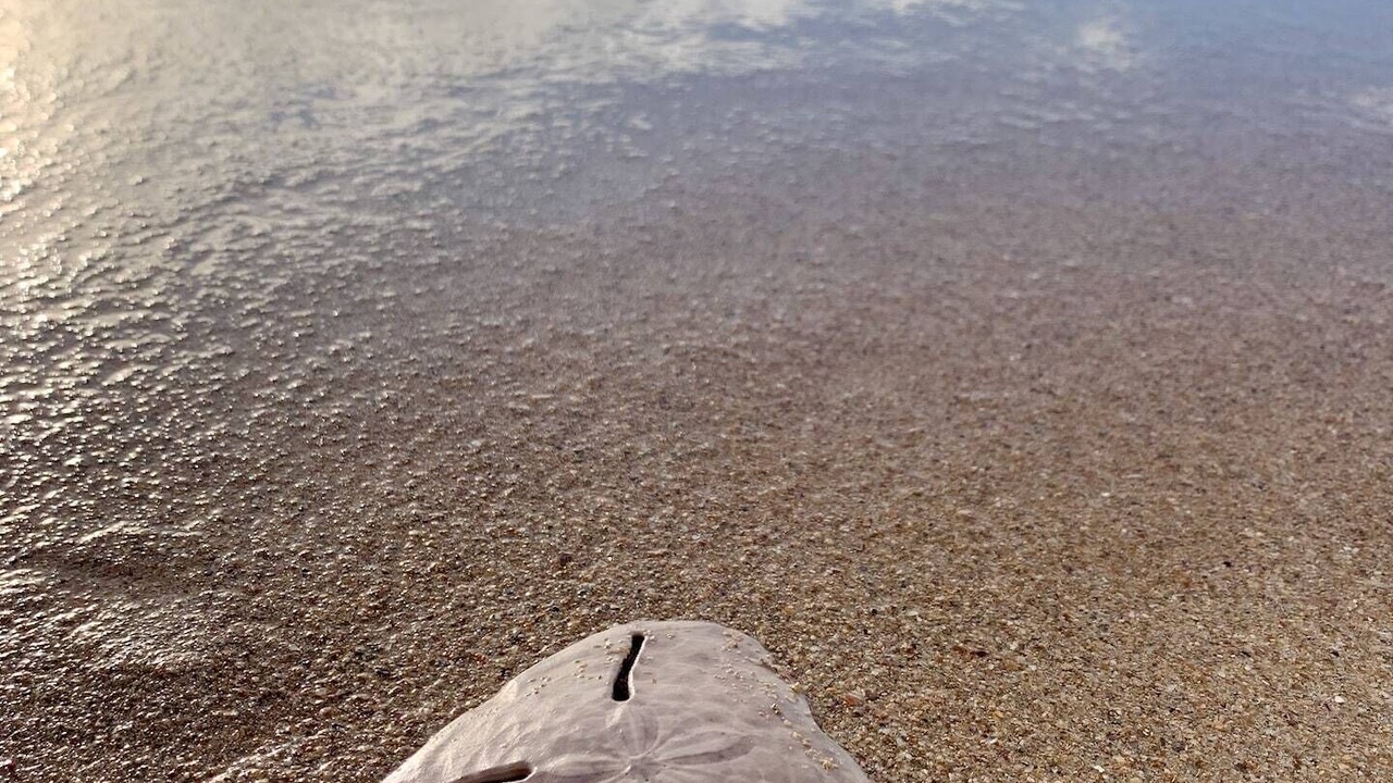 Photo of Others in Witsand