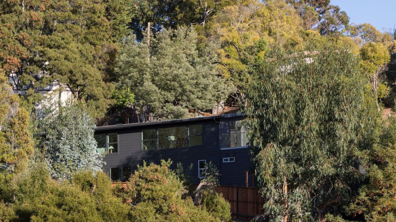 Photo of Outdoor in San Rafael