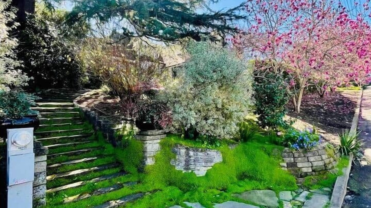 Photo of Outdoor in Freestone