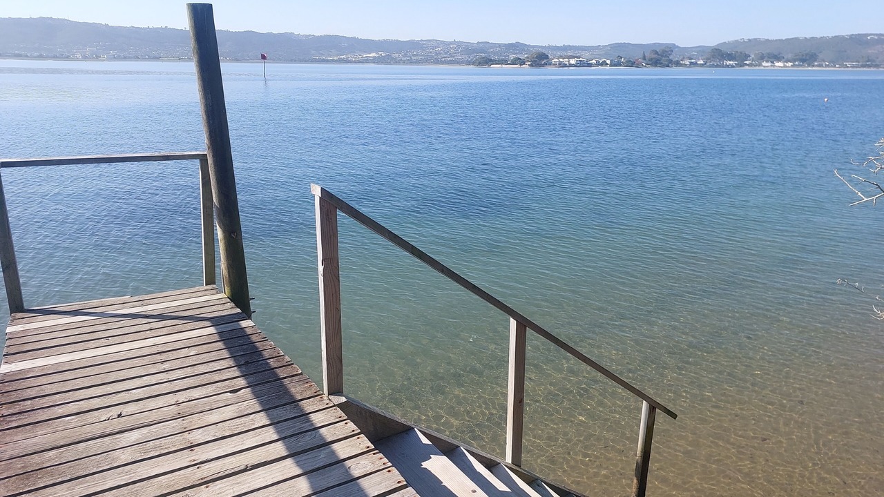 Photo of Others in Brenton-on-Sea