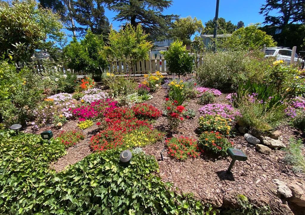 Photo of Outdoor in Upper Rockridge