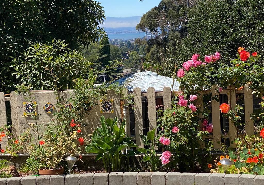 Photo of Outdoor in Upper Rockridge