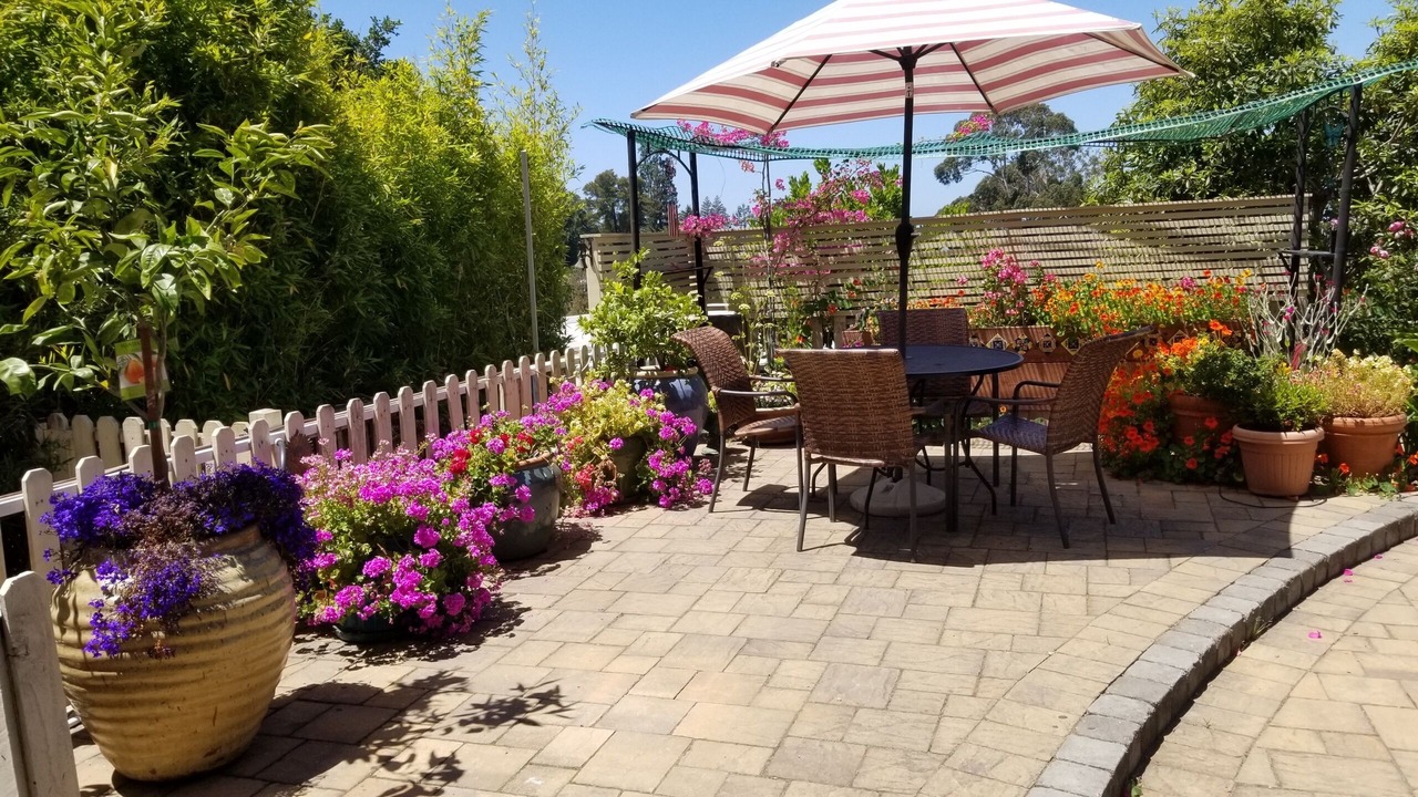 Photo of Outdoor in Upper Rockridge