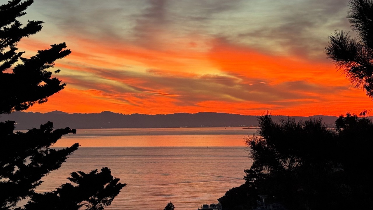 Photo of Others in Sausalito