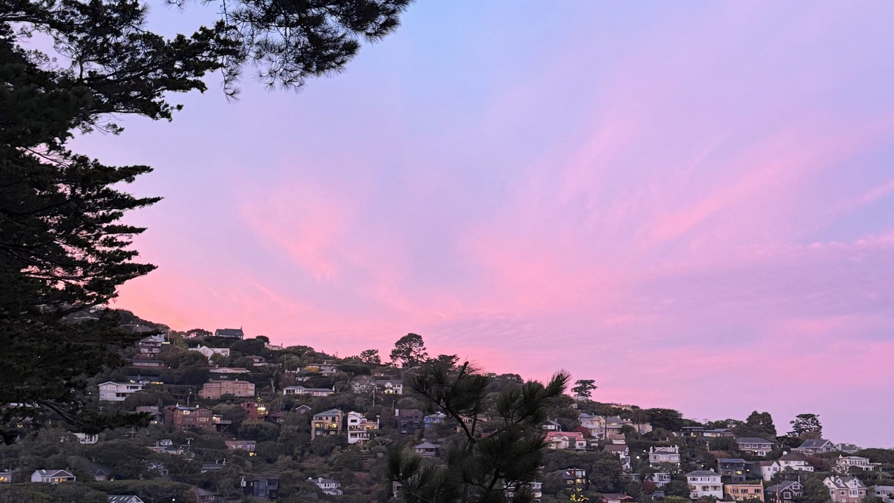 Photo of Others in Sausalito