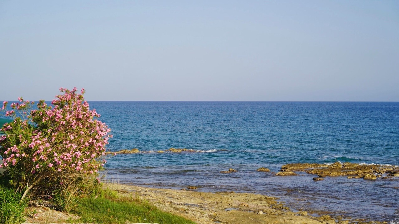 Photo of Others in Bozyazi