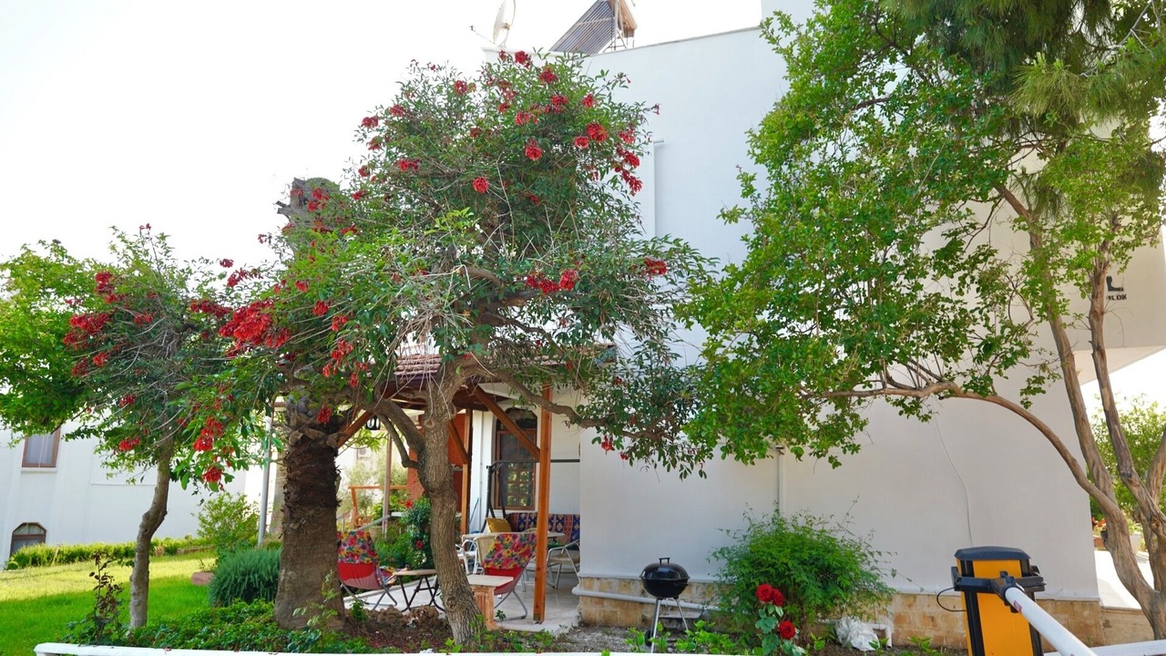 Photo of Outdoor in Bozyazi