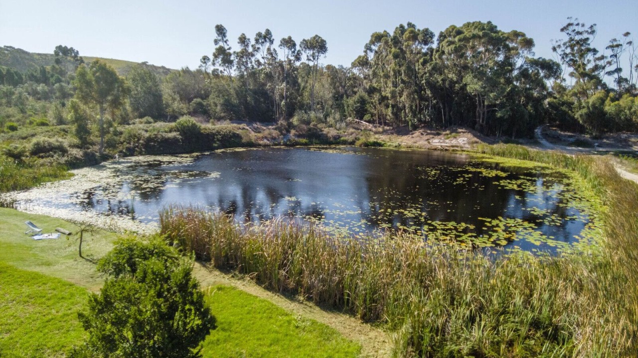 Photo of Outdoor in Stanford