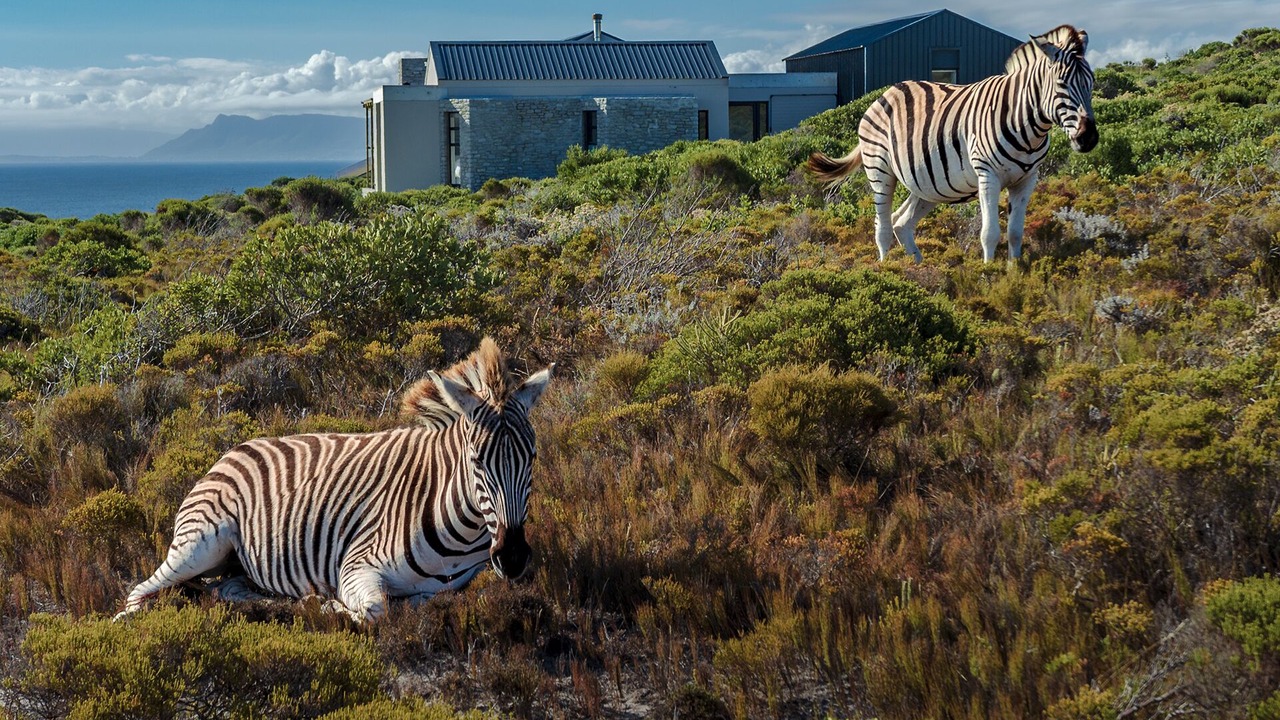 Photo of Others in Gansbaai