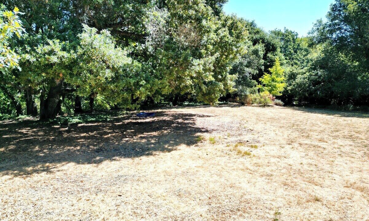Photo of Others in Bennett Valley