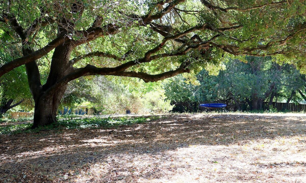 Photo of Others in Bennett Valley