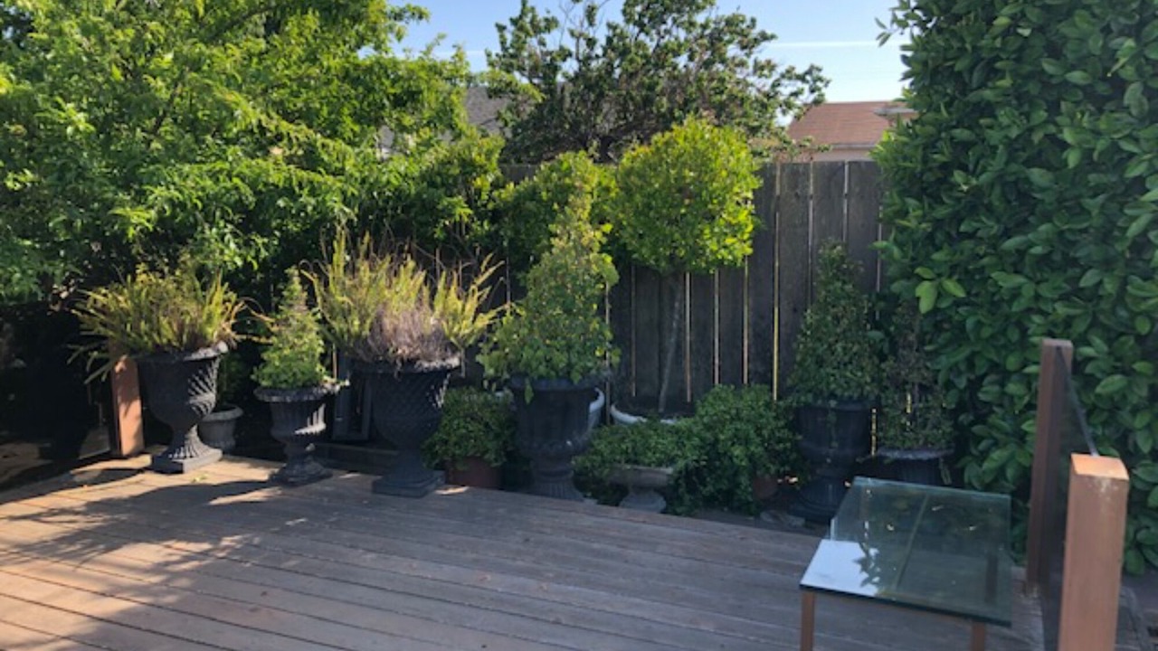 Photo of Patio Balcony in Shoreview