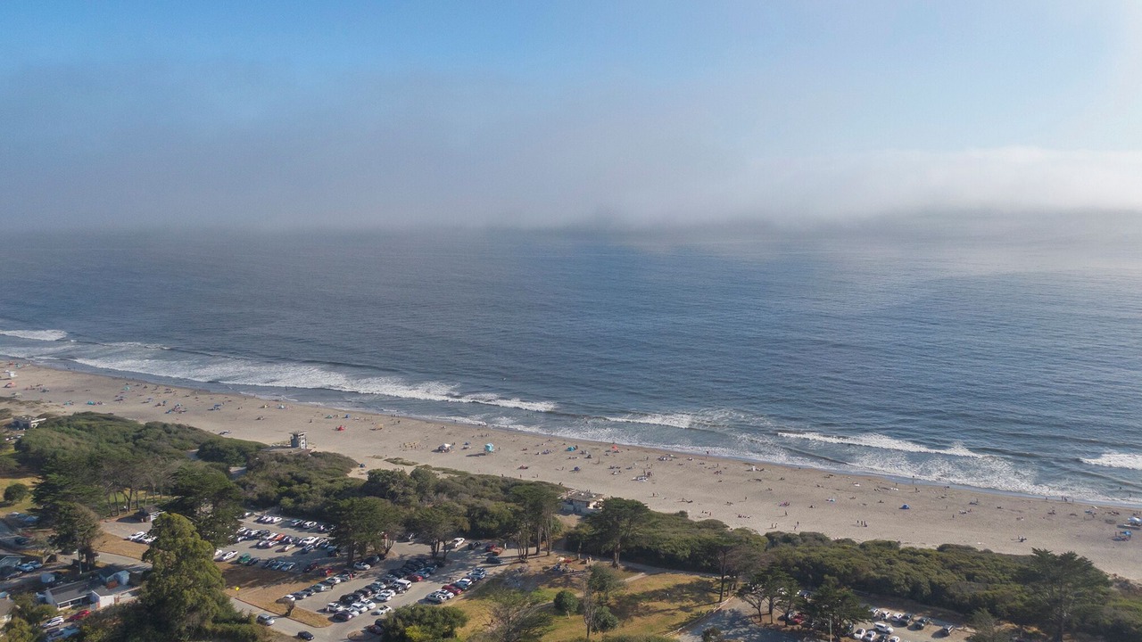 Photo of Others in Stinson Beach