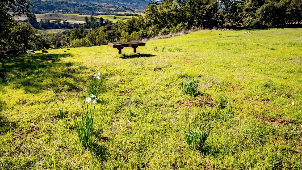 Photo of Outdoor in Santa Rosa