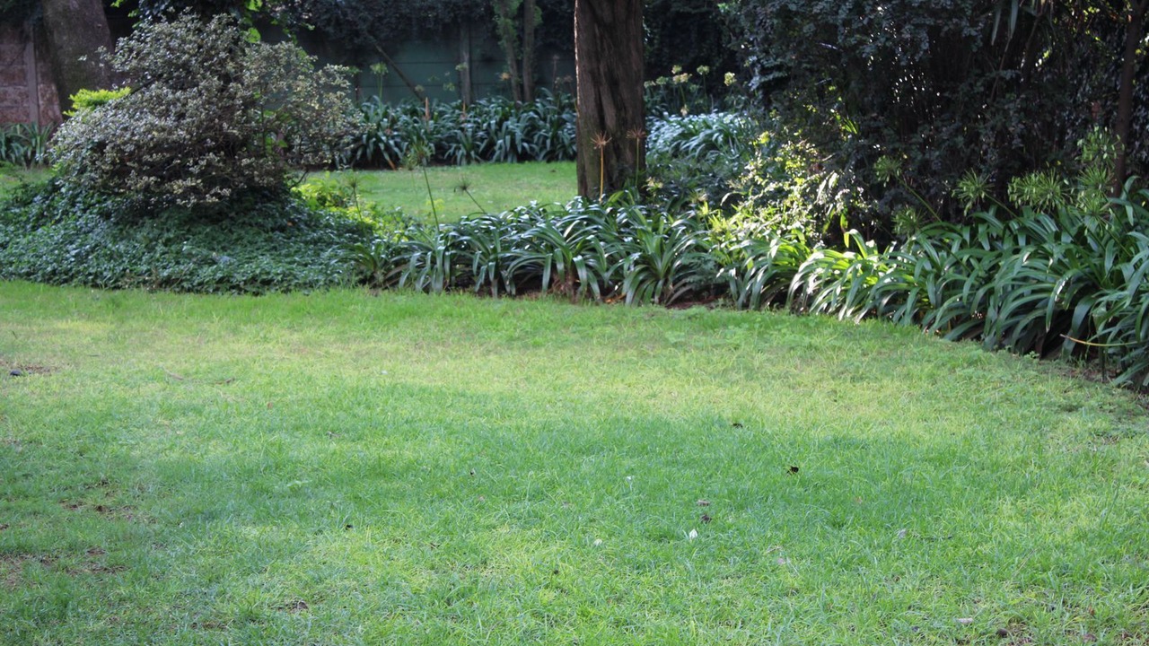 Photo of Outdoor in Kempton Park