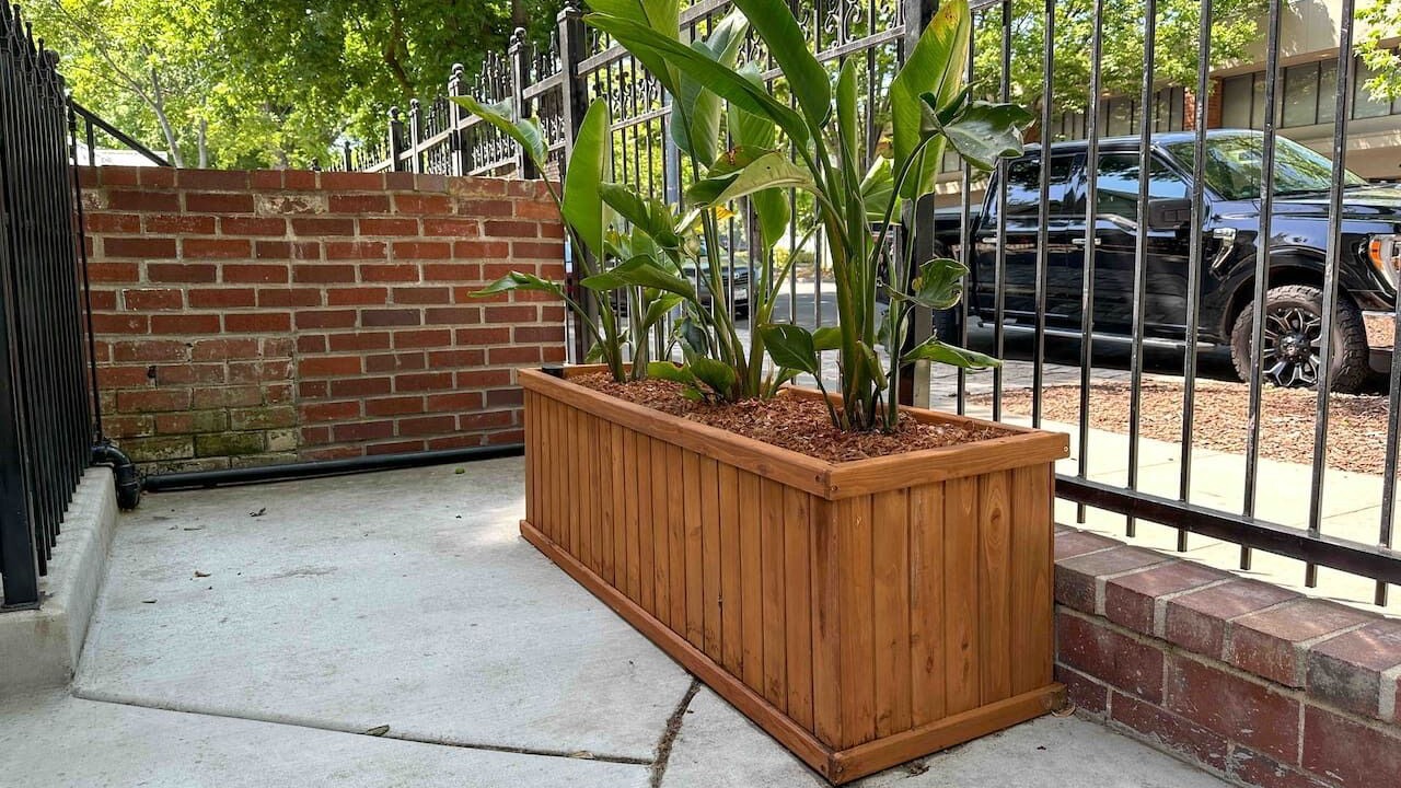 Photo of Outdoor in Downtown Sacramento