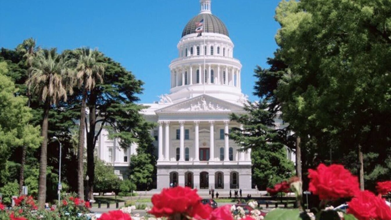 Photo of Others in Downtown Sacramento