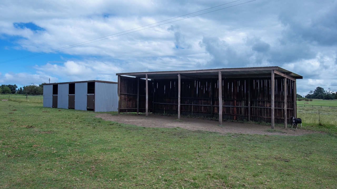 Photo of Outdoor in Rheenendal