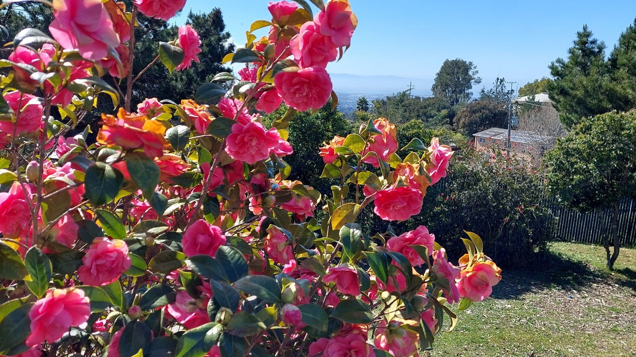 Photo of Outdoor in Fairview
