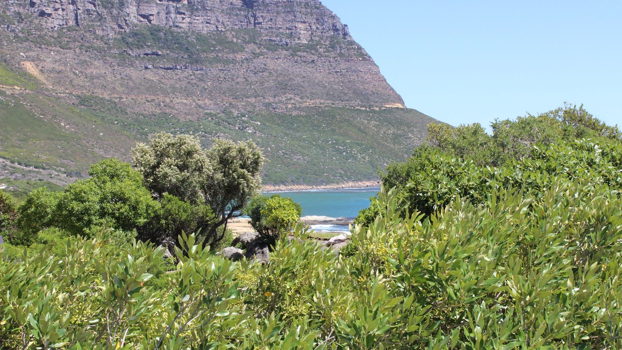 Photo of Others in Hout Bay