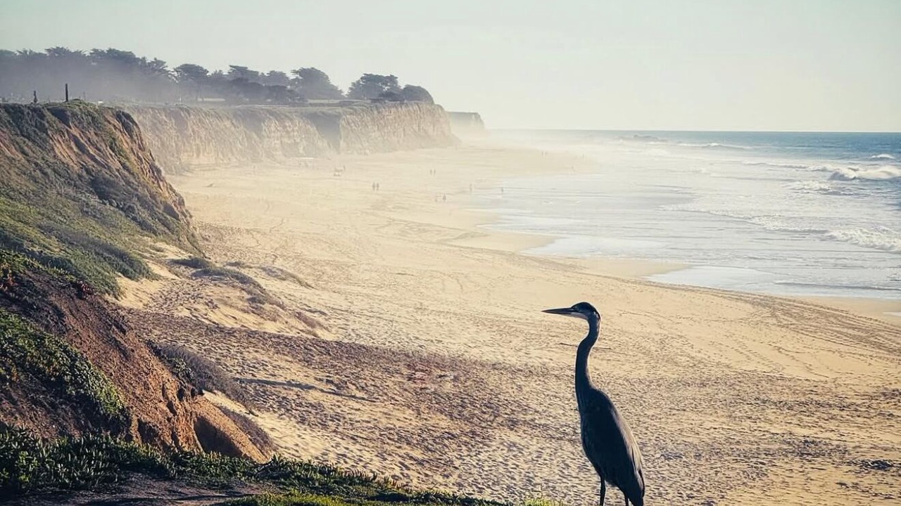 Photo of Others in Montara