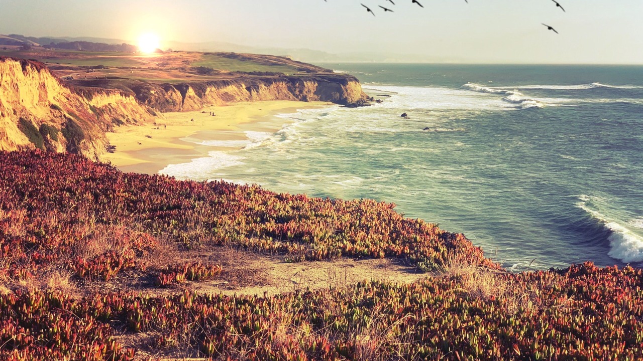 Photo of Others in Montara
