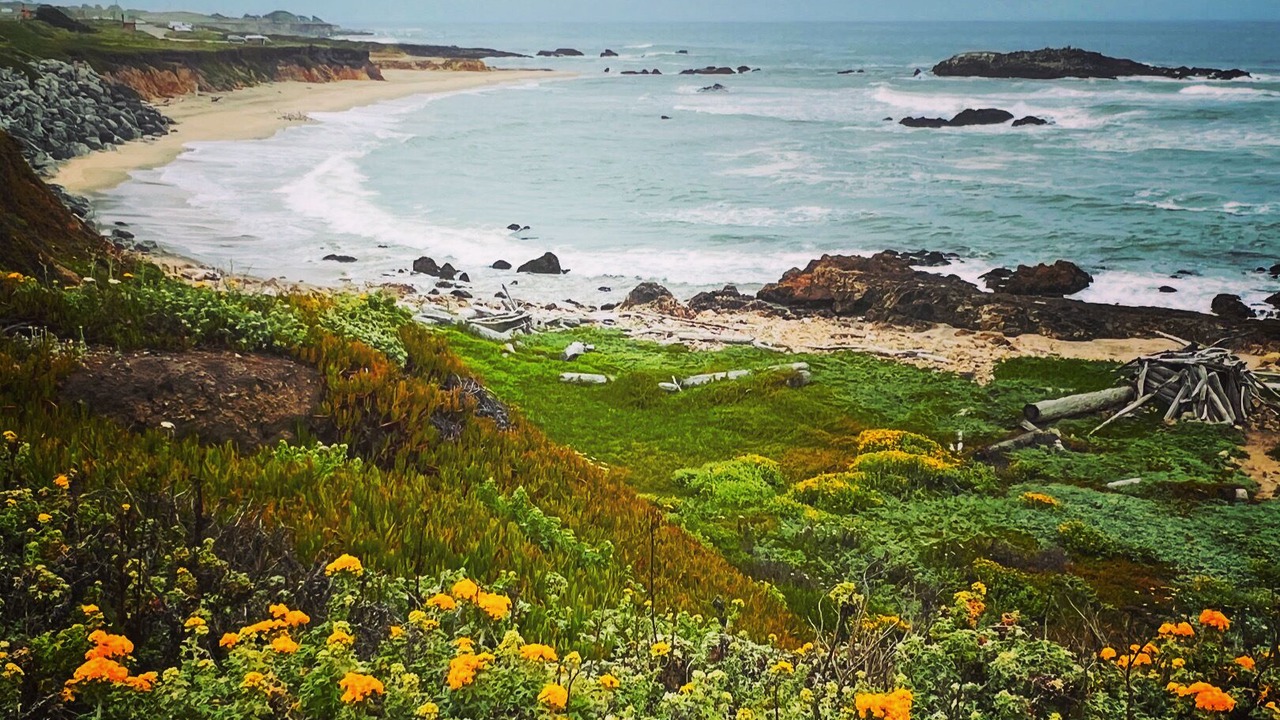 Photo of Others in Montara