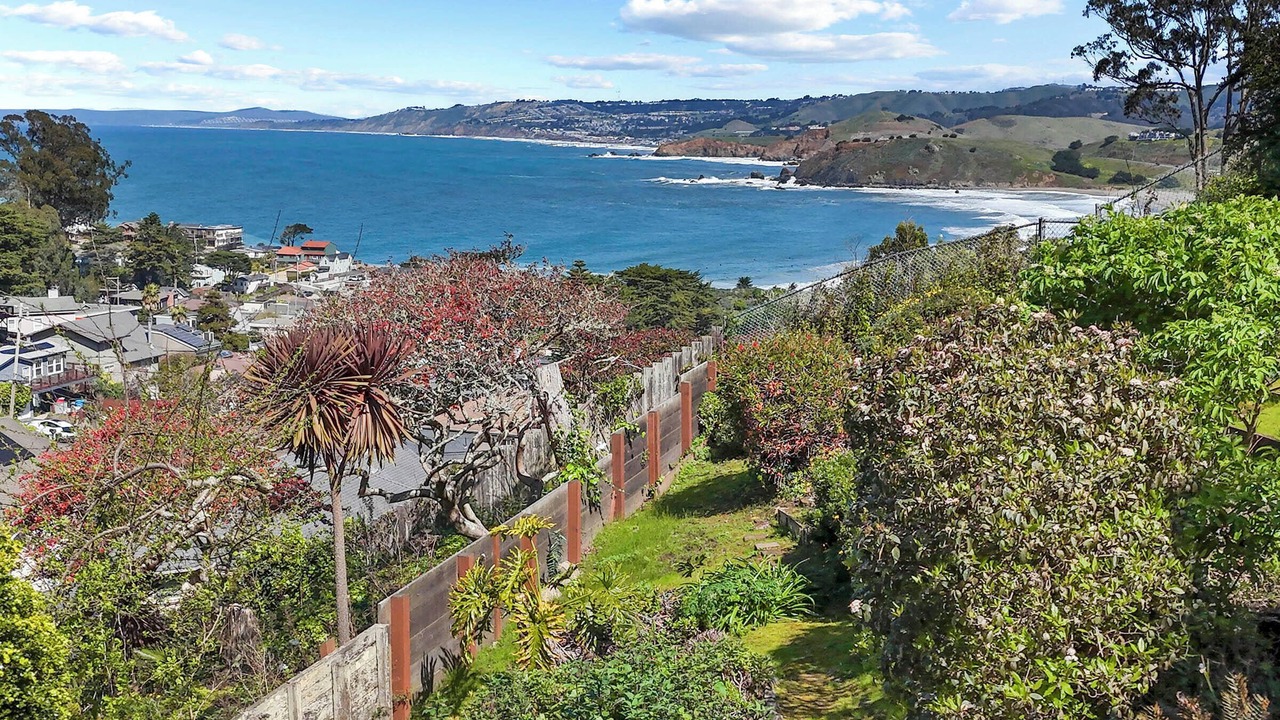 Photo of Others in Pedro Point