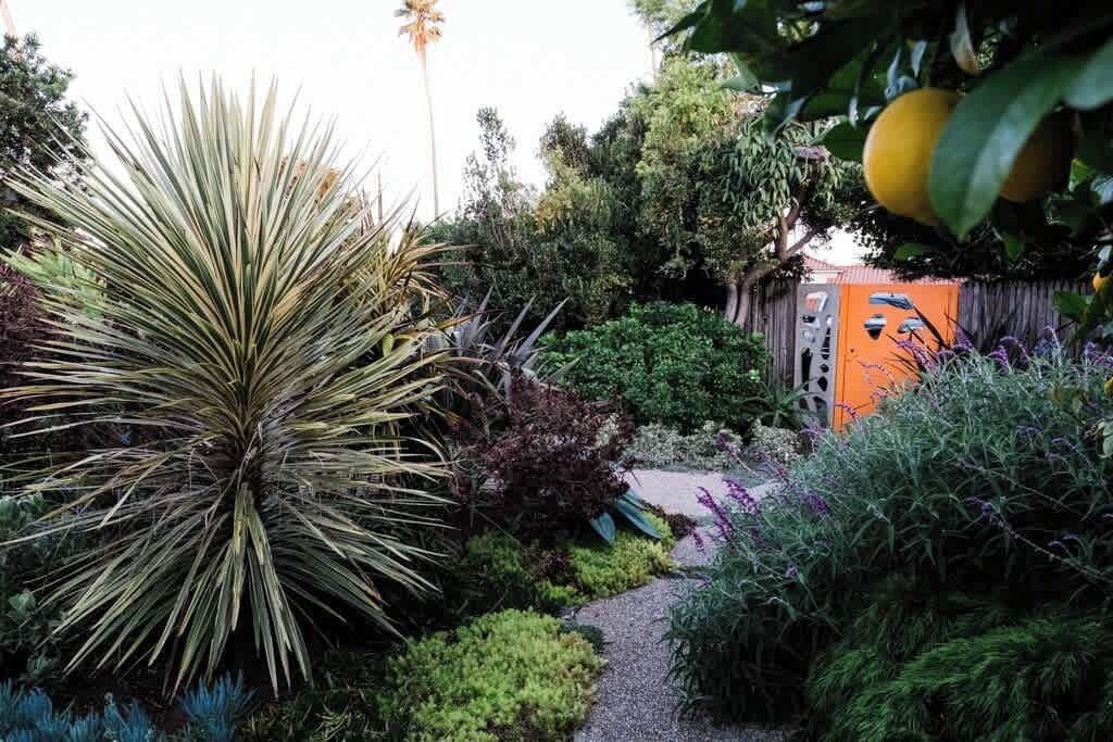 Photo of Outdoor in La Selva Beach