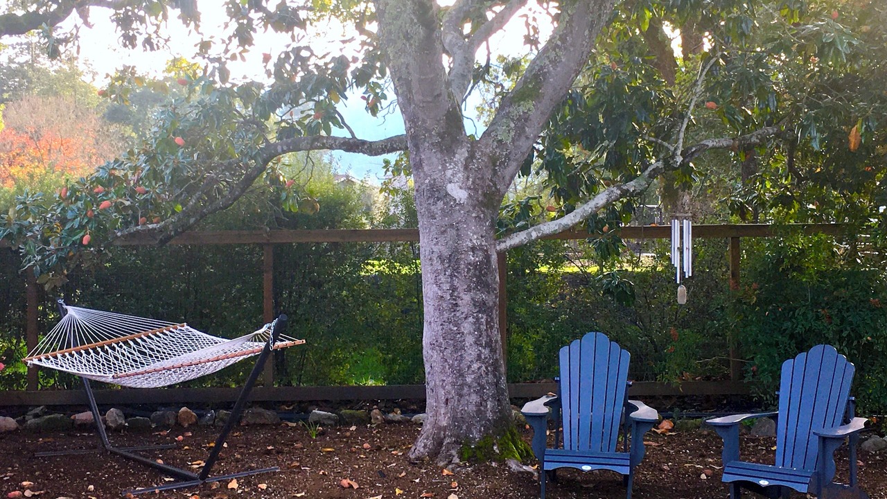 Photo of Outdoor in Santa Rosa