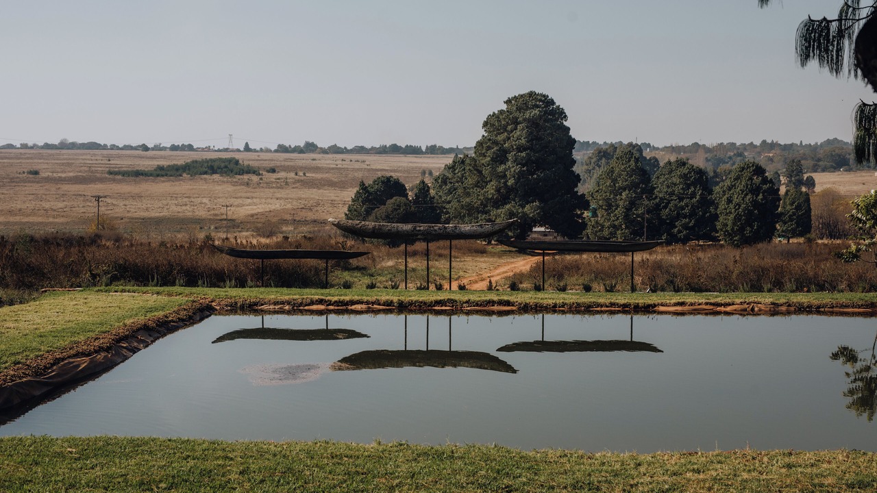 Photo of Outdoor in Ekurhuleni