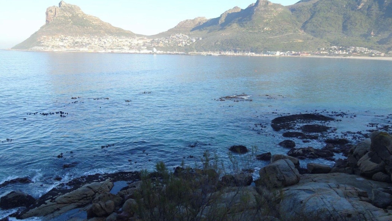 Photo of Others in Hout Bay