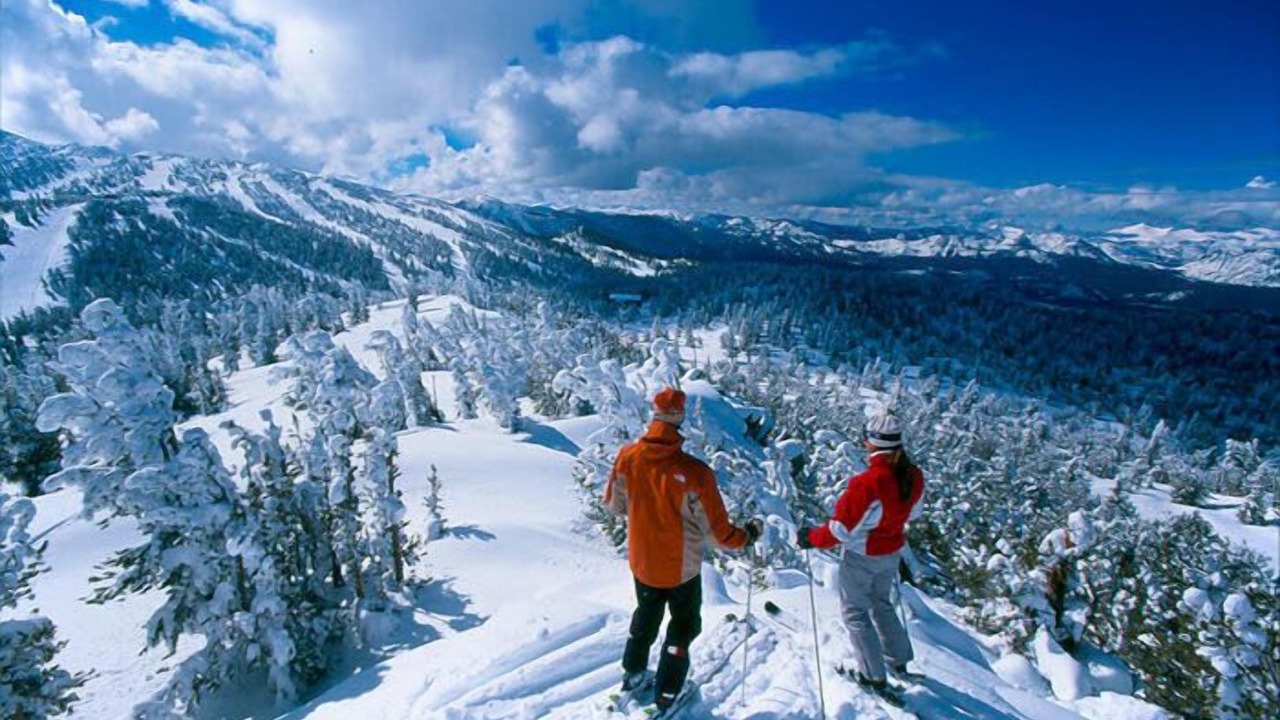 Photo of Others in Tahoe Valley