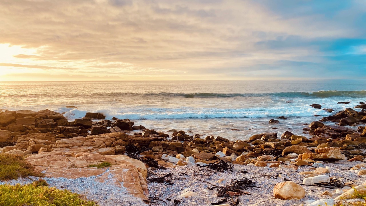 Photo of Others in Fish Hoek