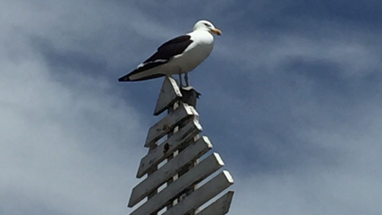 Photo of Others in Langebaan