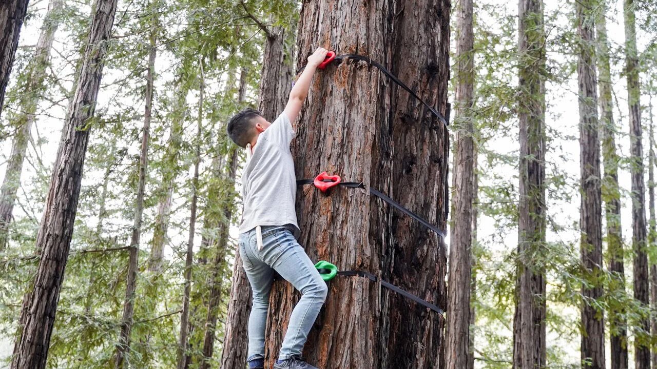 Photo of Others in Gilroy