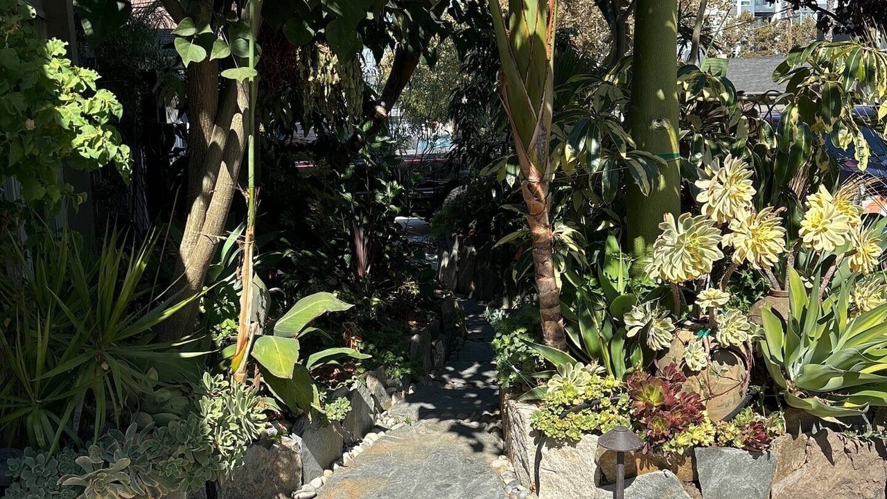 Photo of Outdoor in St. Leo's