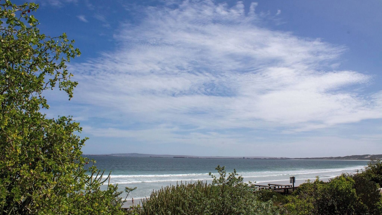 Photo of Others in Paradise Beach