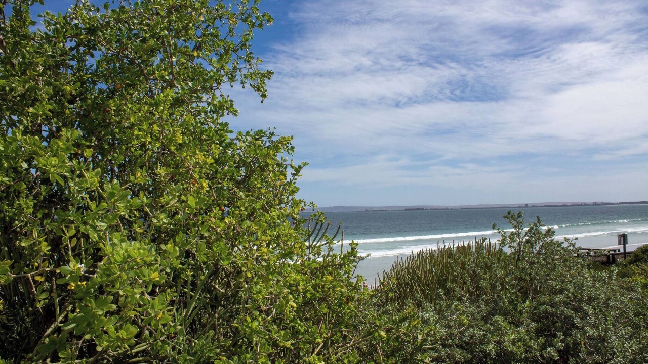Photo of Others in Paradise Beach